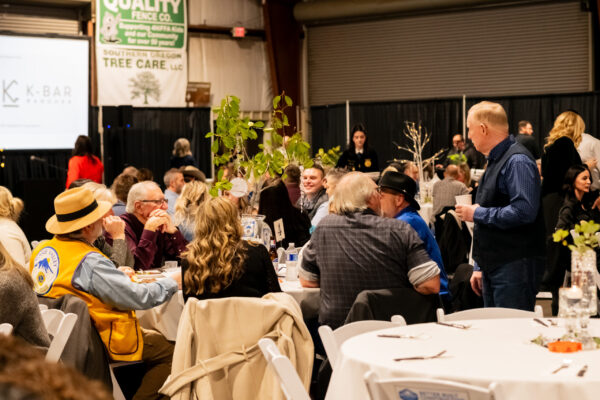 Denim & Diamonds 2025 The Central Point Chamber Small Business Awards